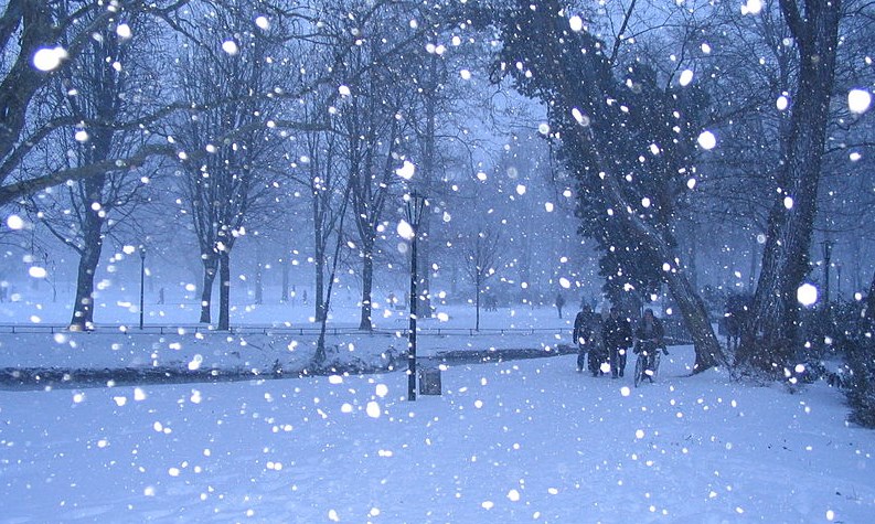 Tuyết đầu mùa (bài đọc hiểu tiếng Việt lớp 4 - đề số 2)